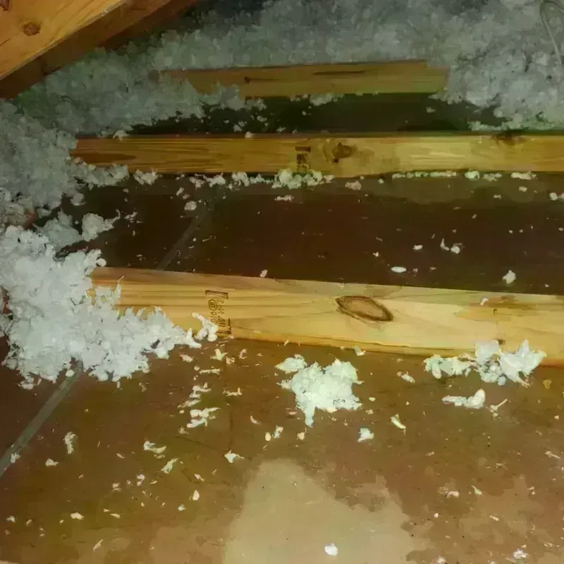 Attic Water Damage in Shell Knob, MO