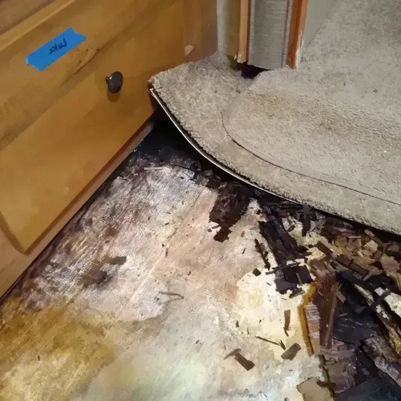 Wood Floor Water Damage in Shell Knob, MO